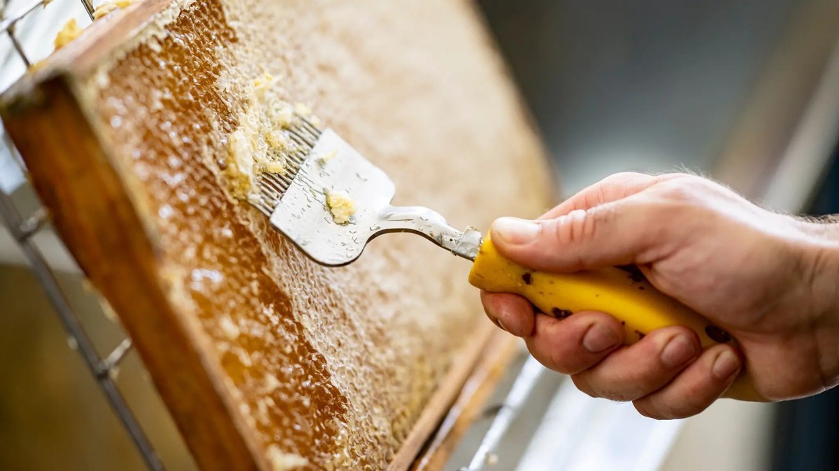 Лажниот мед е веќе на полиците: Како се разредува „слаткото злато“, а купувачите не можат да го препознаат