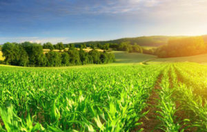 Објавен Јавен повик за поддршка на земјоделските задруги