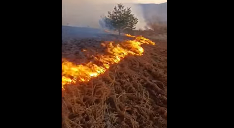 Ангажирани два армиски хеликоптери за пожарот на Јабланица