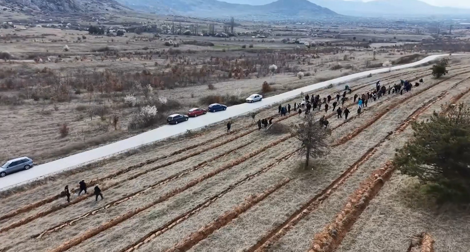 Дел од локалитетот „Маркови Kули“ пошумен со 6.000 садници на даб