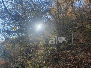 Сочево со температури до 16 степени