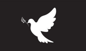 Незапамтена трагедија: Убиени 20 млади одбојкарки при бомбардирањето на Иран