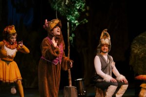 На големата сцена на НОБ, ќе се изведе детската интерактивна музичка претстава „Операта на шумските животни“