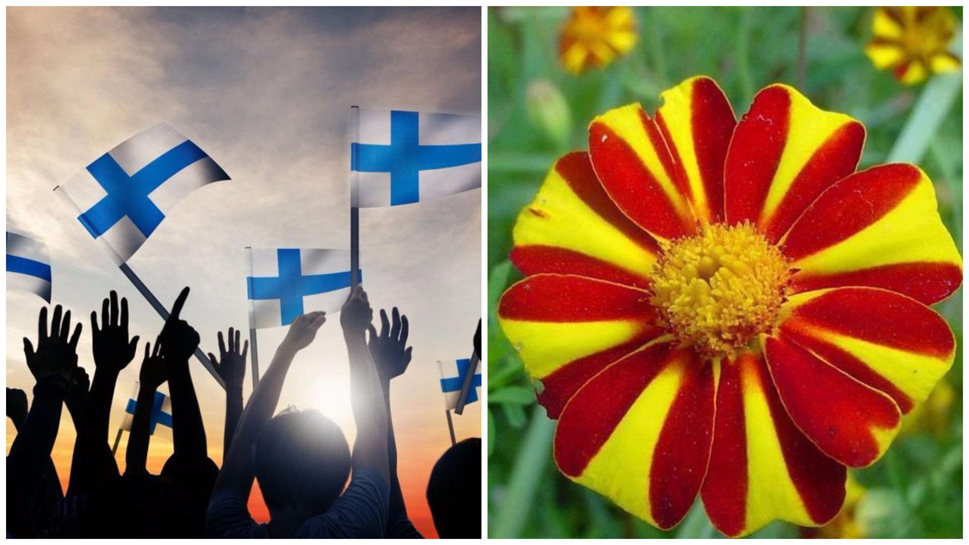 Финска повторно е најсреќната држава во светот, на кое место се најде Македонија?