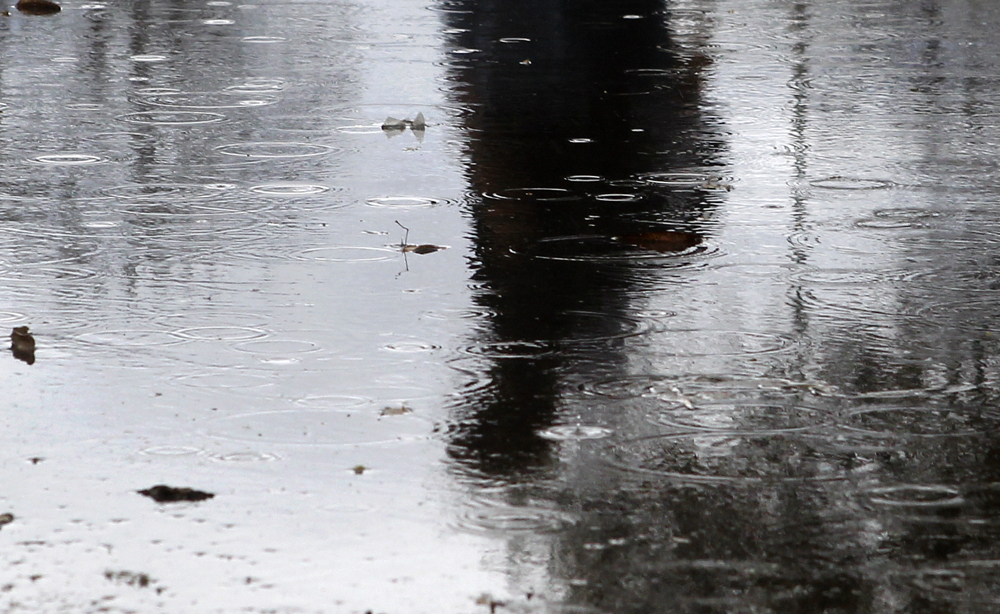 Циклон носи обилни врнежи од дожд, ветер и снег на планините