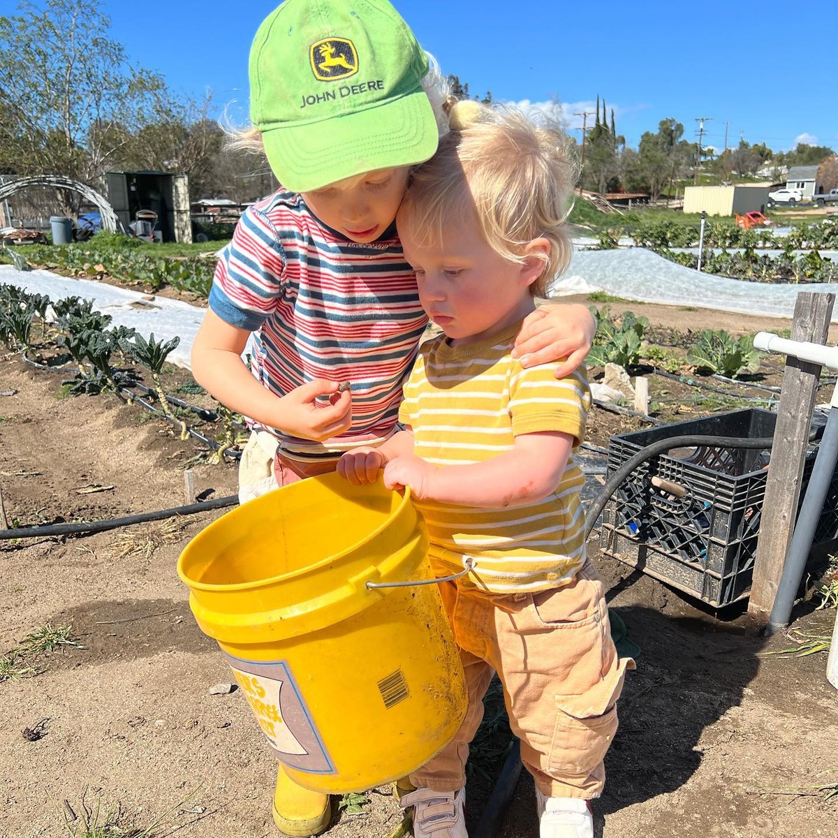 Американски земјоделец сам обработува 4 декари, рабoти 35 часа неделно — и заработува над 10.000 долари месечно