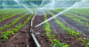 Исплатени над 260 милиони денари поддршка за повеќе од 1.600 земјоделци