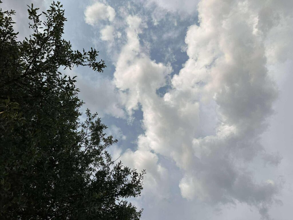 Променливо облачно и посвежо, температурите до 14 степени