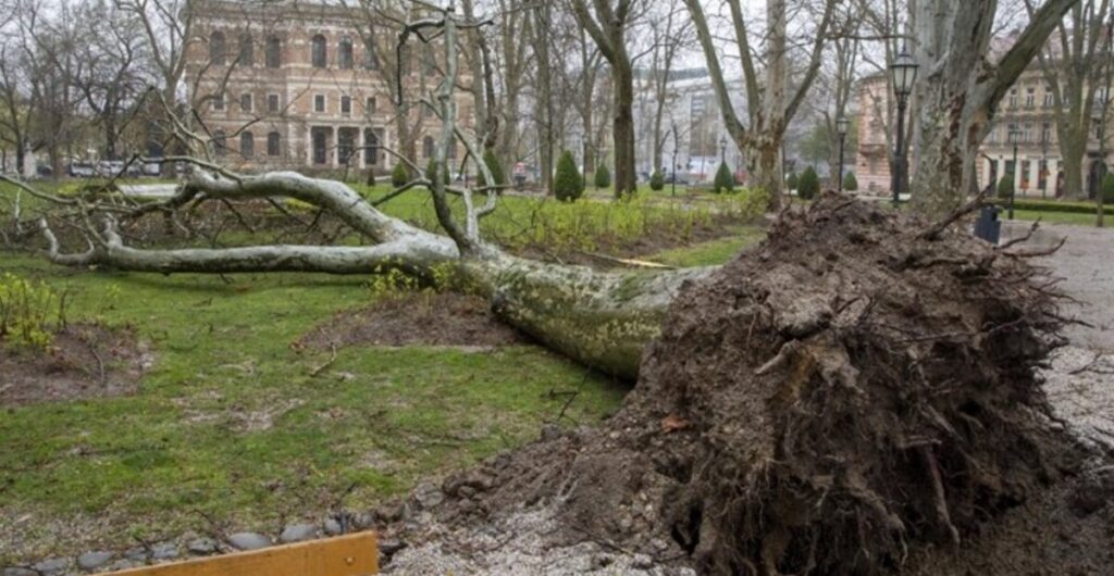 Во невремето во Хрватска оштетени 40 училишта и 24 градинки