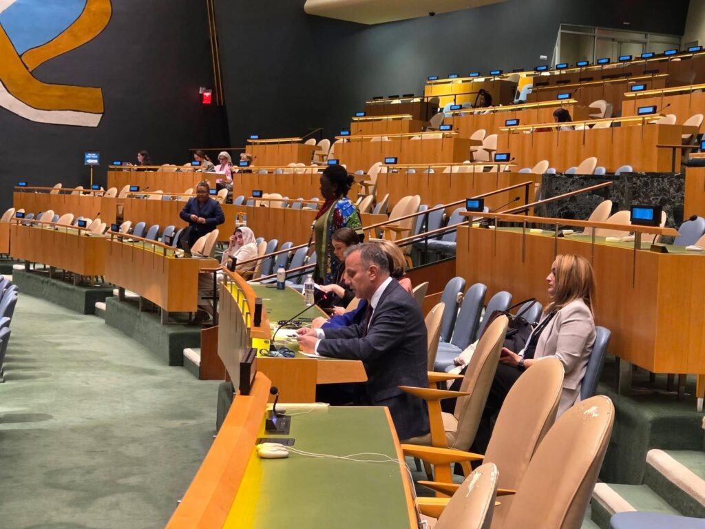 Димитровски на 70-тата сесија на Комисијата за статусот на жени на ОН