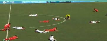 Легнувајте на земја, рој иде