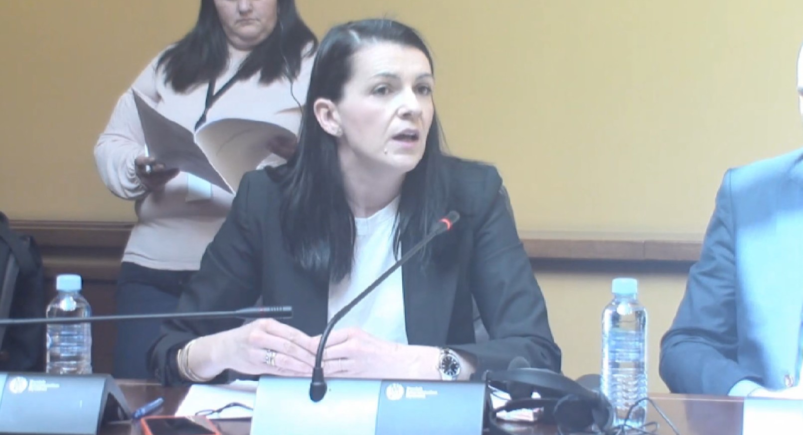 Рекордни 94 годишнини ќе бидат прославени годинава, исклучено одбележувањето на 15-годишнината од смртта на Доста Димовска