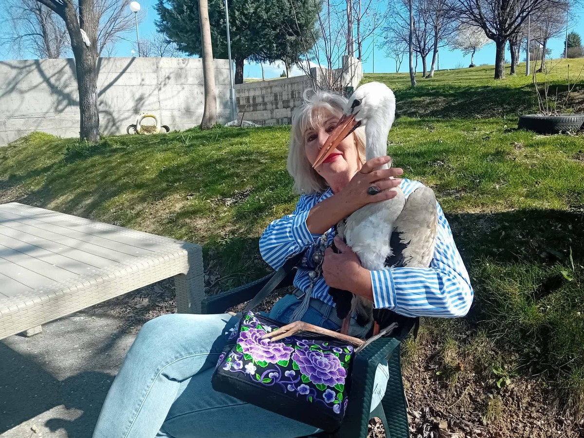 Гевгеличанката Ленче Алексовска вдоми уште еден штрк, покрај другите два кои ги чува