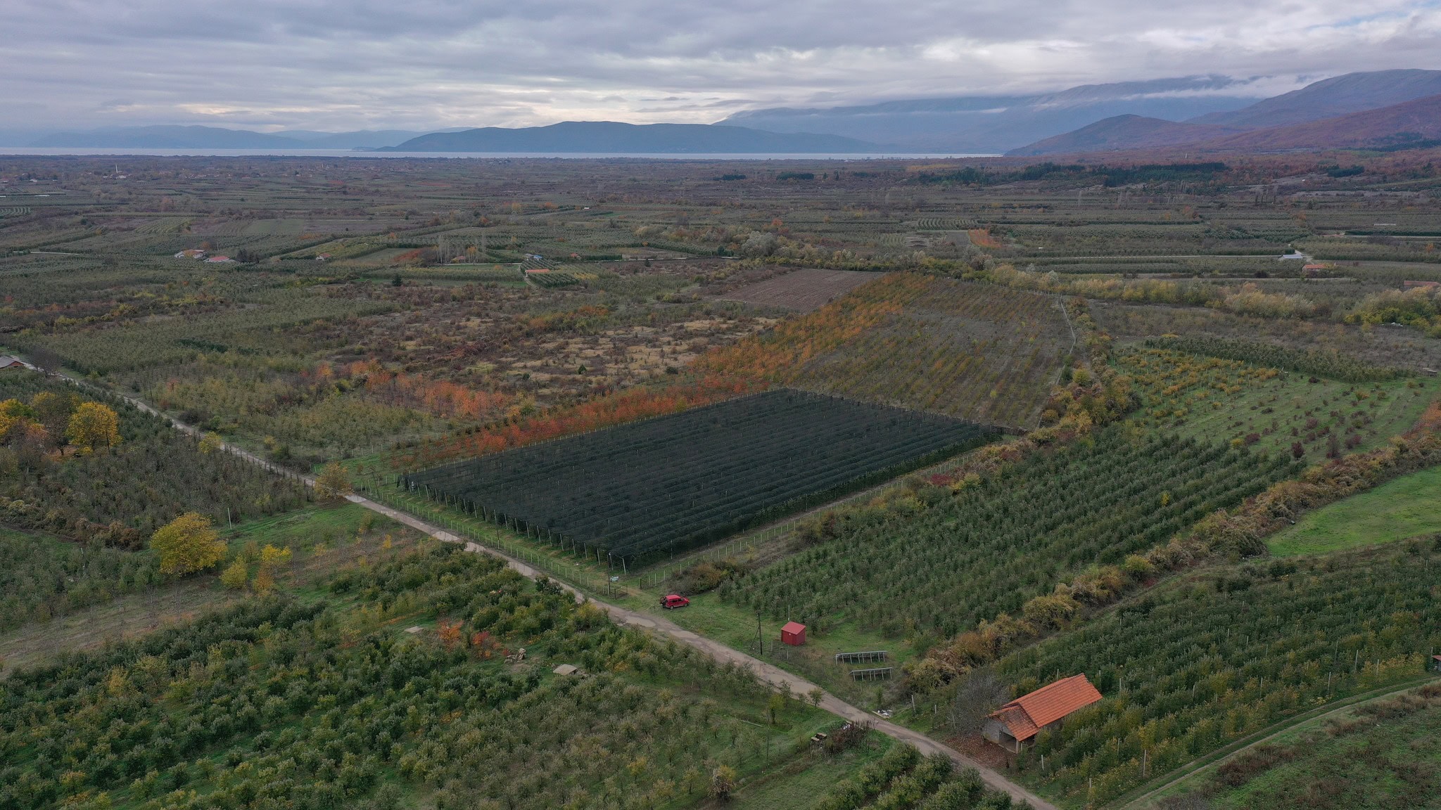 Светски ден на метеорологијата: Македонското земјоделство веќе ја живее климатската криза