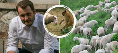 Зоран Костов, психолог: „Што е феноменот ‘ефект на набљудувач’ и зошто луѓето се неми сведоци на нечија мака?“