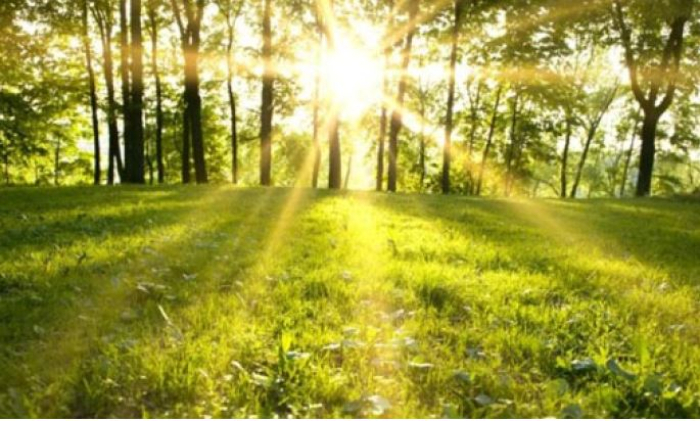 Сончево со мала до умерена локална облачност и температура до 20 степени