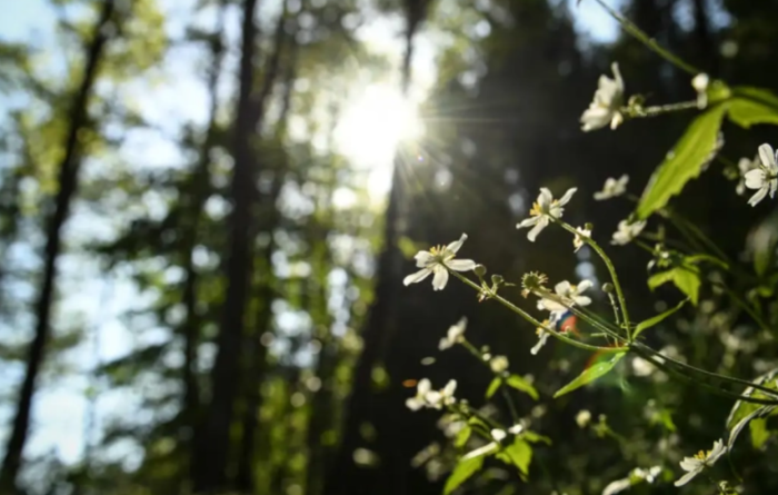 Почнува пролетта