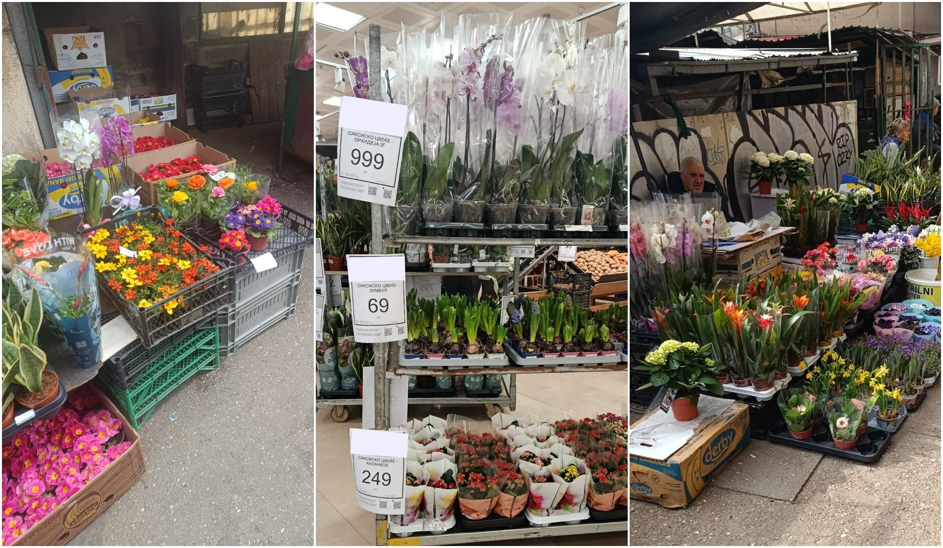 Пазарите шарени, но цените растат: Колку чини цвеќе за 8 Март годинава?