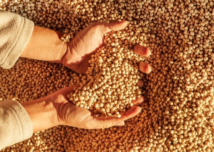 ВОЈНАТА ГИ ПАЛИ ЦЕНИТЕ И НА ХРАНАТА: Скок од 30 до 40 отсто на цените на минералните ѓубрива и директна закана за поскапа храна