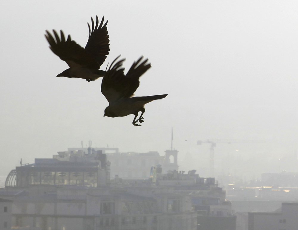 Повеќе од 100 европски компании повикаа на заштита на јаглеродниот пазар на ЕУ