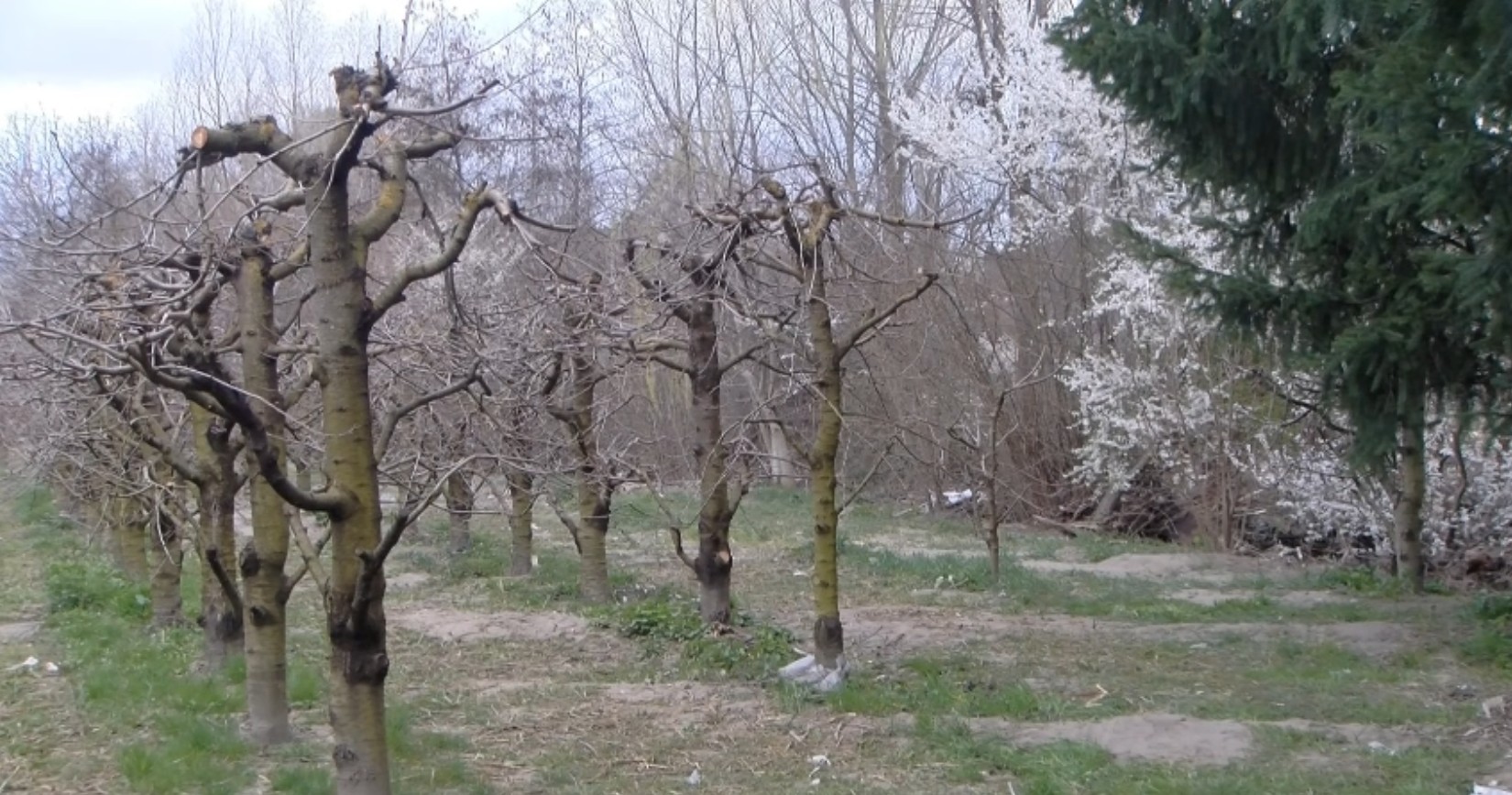 Војната сериозно го загрозува снабдувањето со вештачки ѓубрива