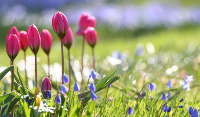 Сончево и свежо утро, максимална температура до 20 степени