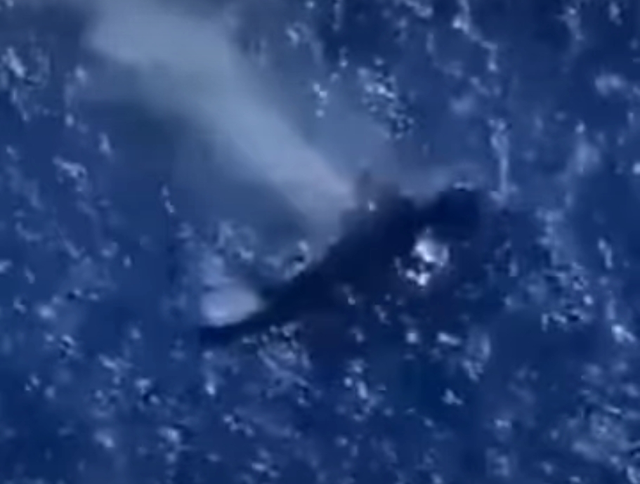 Речиси 150 лица се водат како исчезнати откако ирански воен брод потона кај Шри Ланка