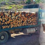 Кривична пријава за злоупотреби со огревно дрво: Буџетот на „Национални шуми“ оштетен за над 3 милиони денари