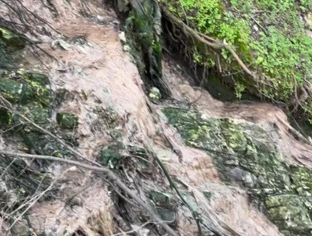 „Независни за Карпош“ алармира за излевање на канализација во Нерези и ја обвинува општината за проблемот