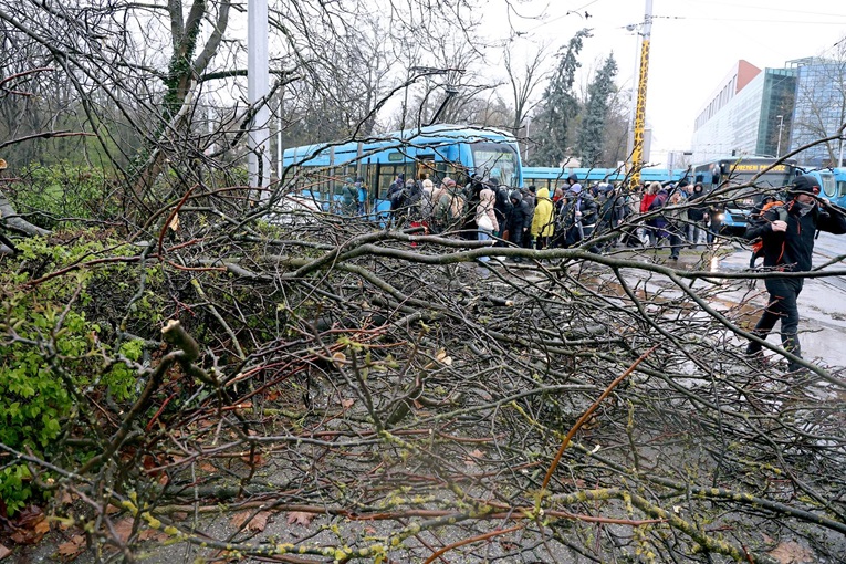 ФОТО: Десетици паднати дрвја, покриви, блокорани улицо… откажана наставата во Загреб по силниот ветер
