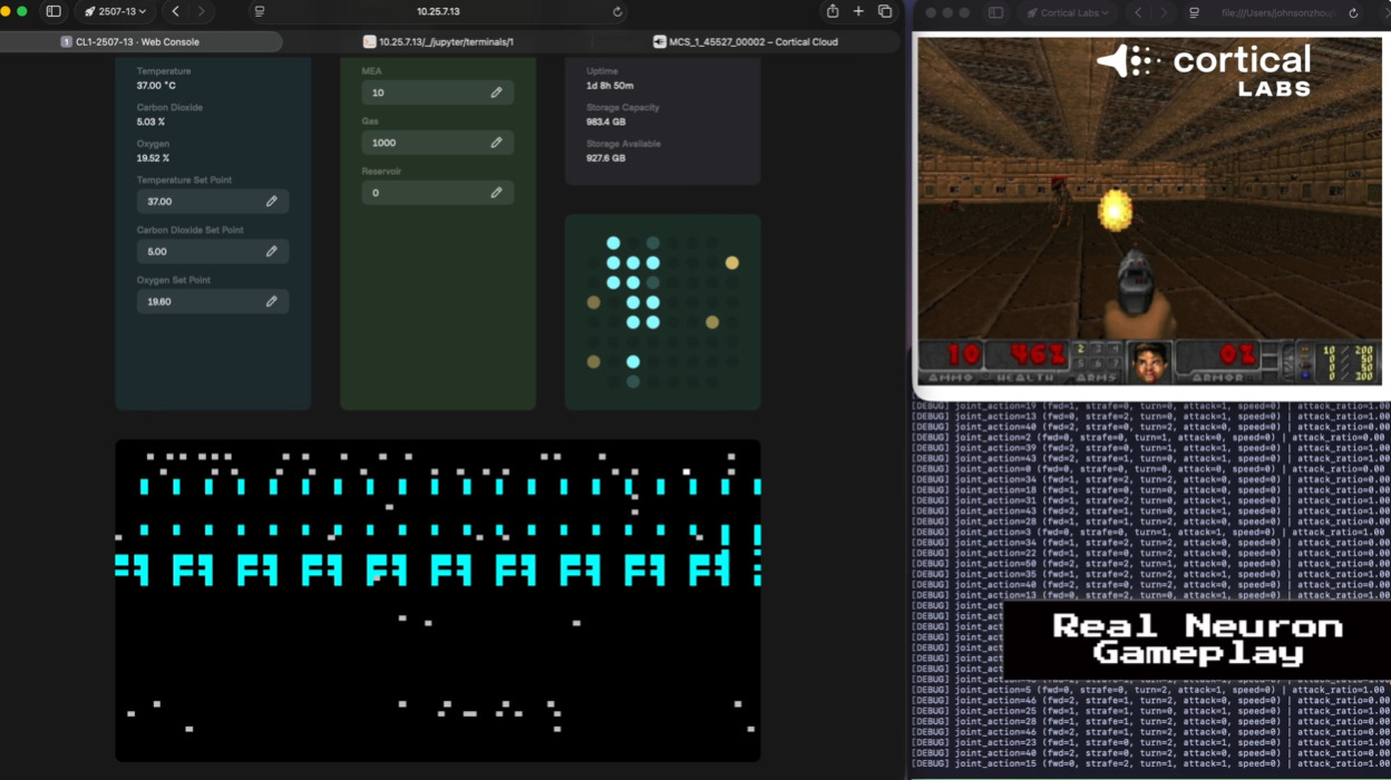 ВИДЕО: Научниците создадоа „жив компјутер без мозок“