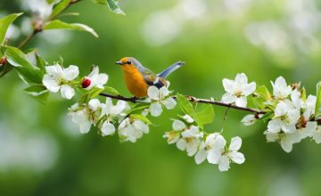 Пристигна пролетта