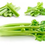 Каква лековита моќ има целерот врз твојот организам?