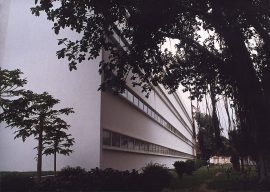 Девет лица загинаа во протестите во Пакистан и Ирак поради смртта на Хамнеи