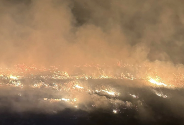 Опожарени дваесетина хектари нискостеблеста шума и сува трева во Макреш, Старо Нагоричане