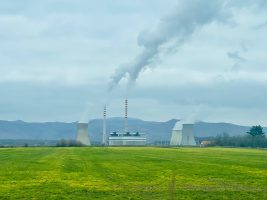 Истата храна што ја јаделе во РЕК Битола, ја конзумирале и вработените во „Термо“ на РЕК Битола, но немале симптоми