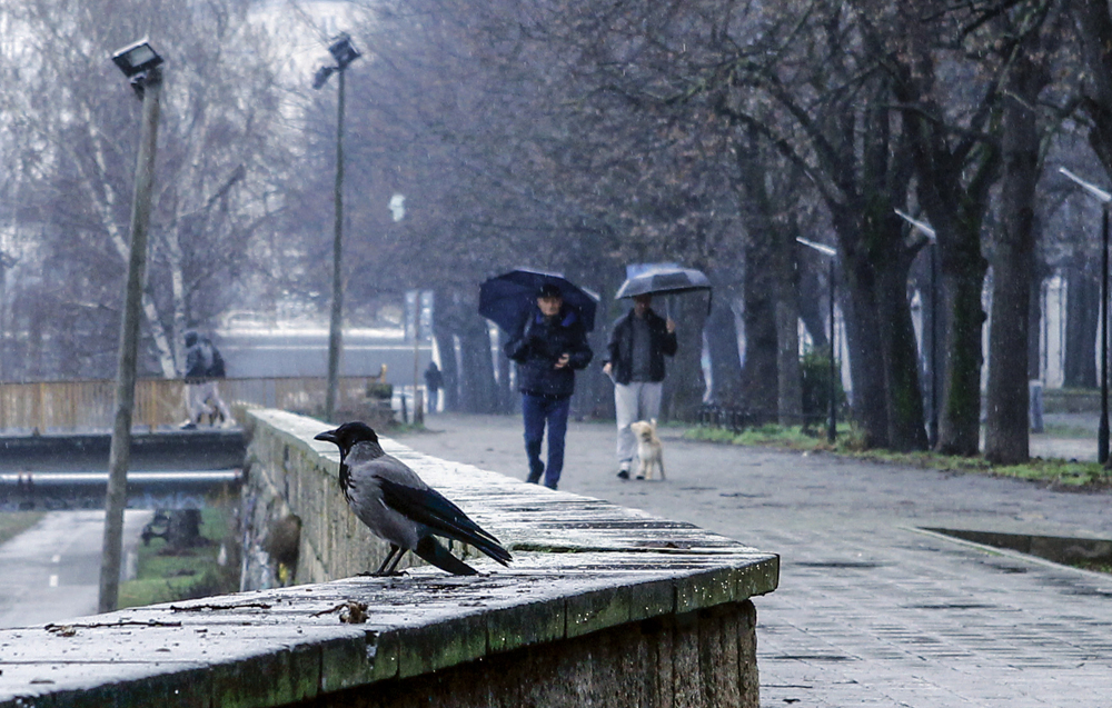 Од недела повремен дожд, од вторник опаѓа температурата