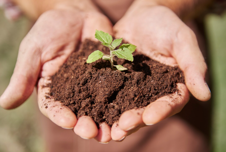 За колку поскапеа ѓубривата поради војната во Иран?