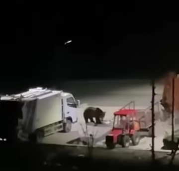 (ВИДЕО) Мечка снимена на паркинг во Ростуше, се оддалечила по лаењето на кучиња