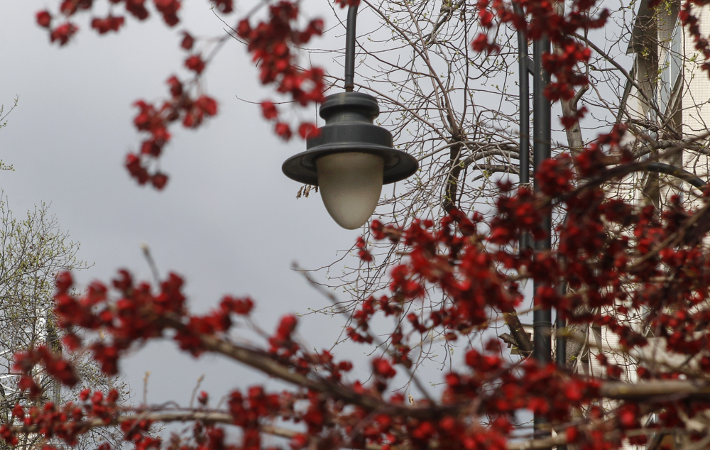 Од понеделник променливо облачно и посвежо, пообилни врнежи во среда и четврток