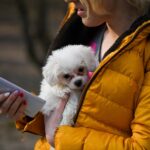 Дали знаете дека вашето куче страда ако гледате премногу во телефонот