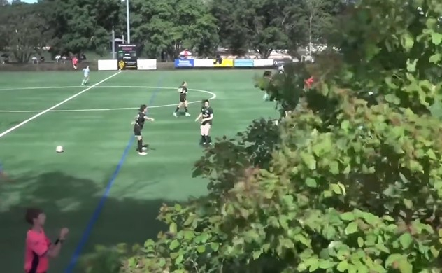 Сте виделе ли кастрење на дрва во сред пренос?