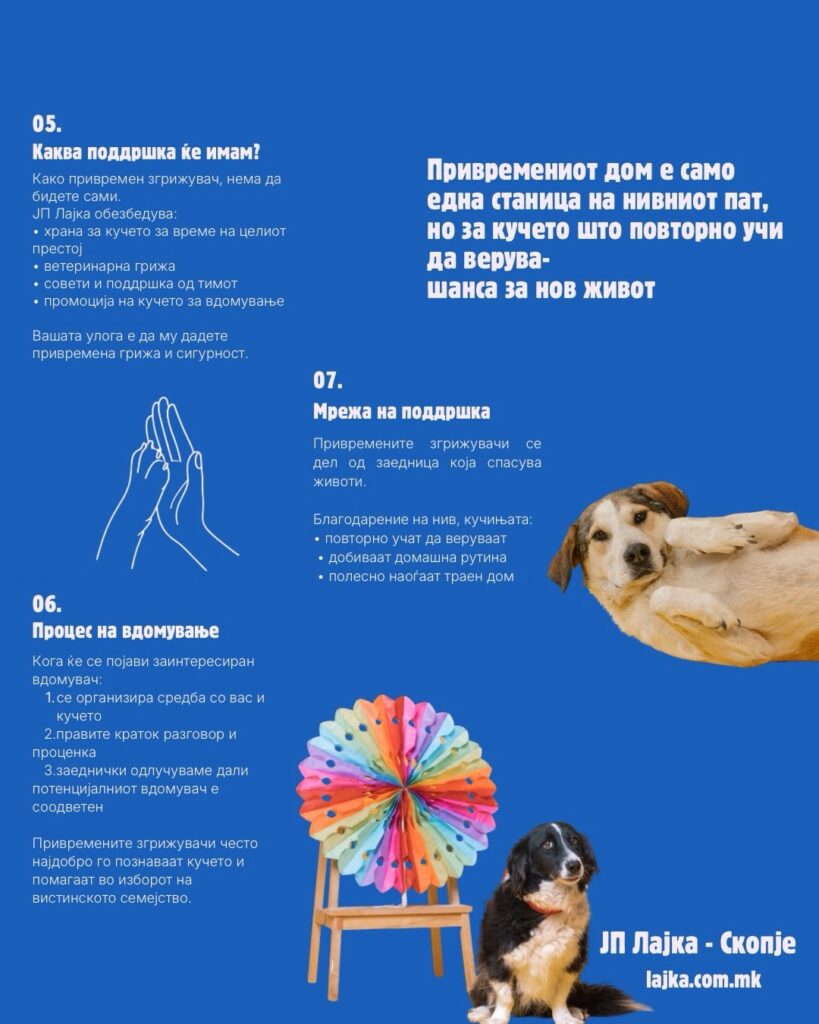 ЈП Лајка: Иницијатива за привремено згрижување на бездомни кучиња