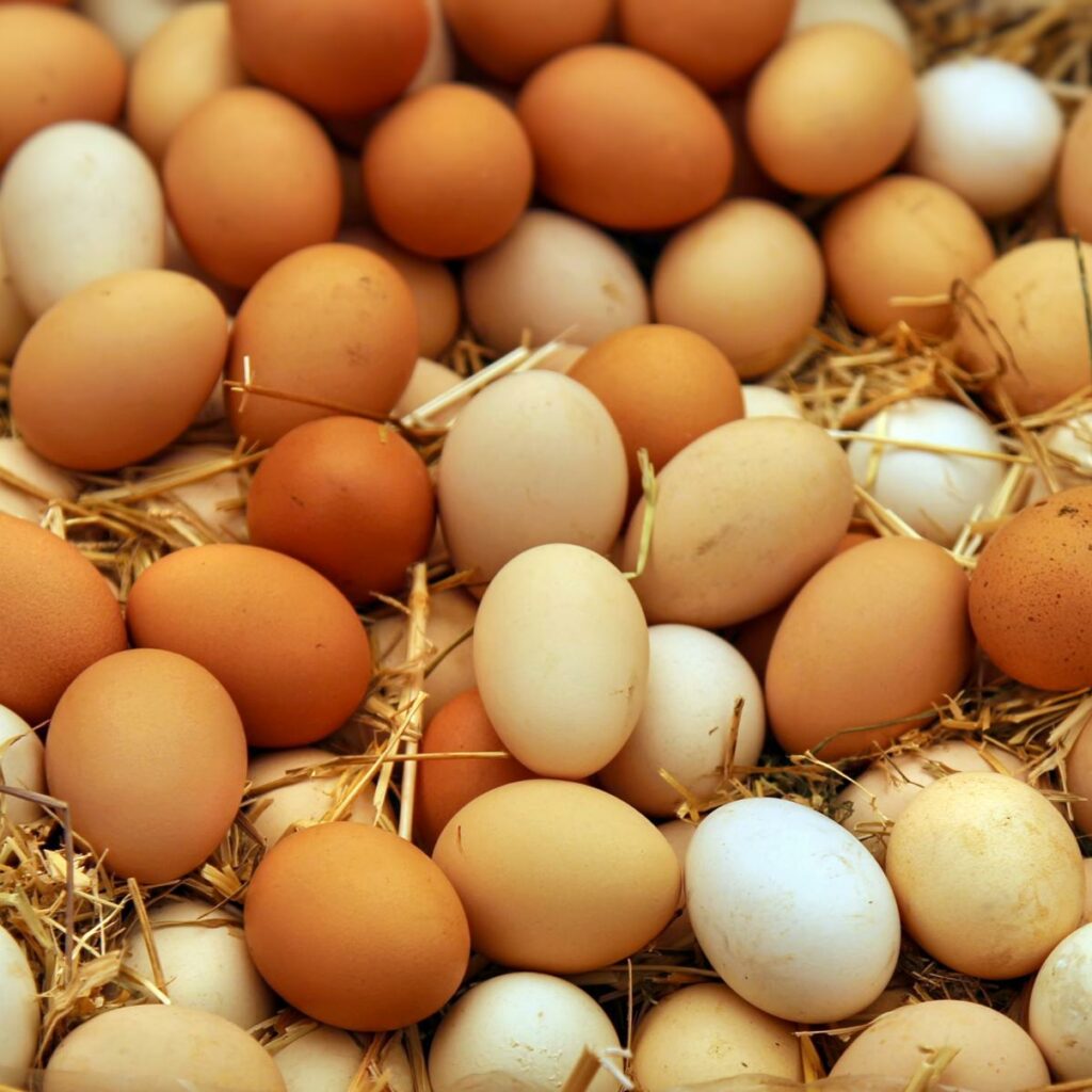 Над 40 тони необележани јајца од Србија уништени на Дрисла