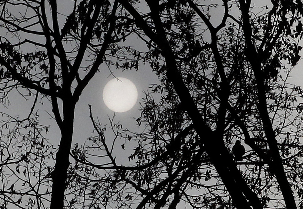 Одбележување на Светскиот метеоролошки ден