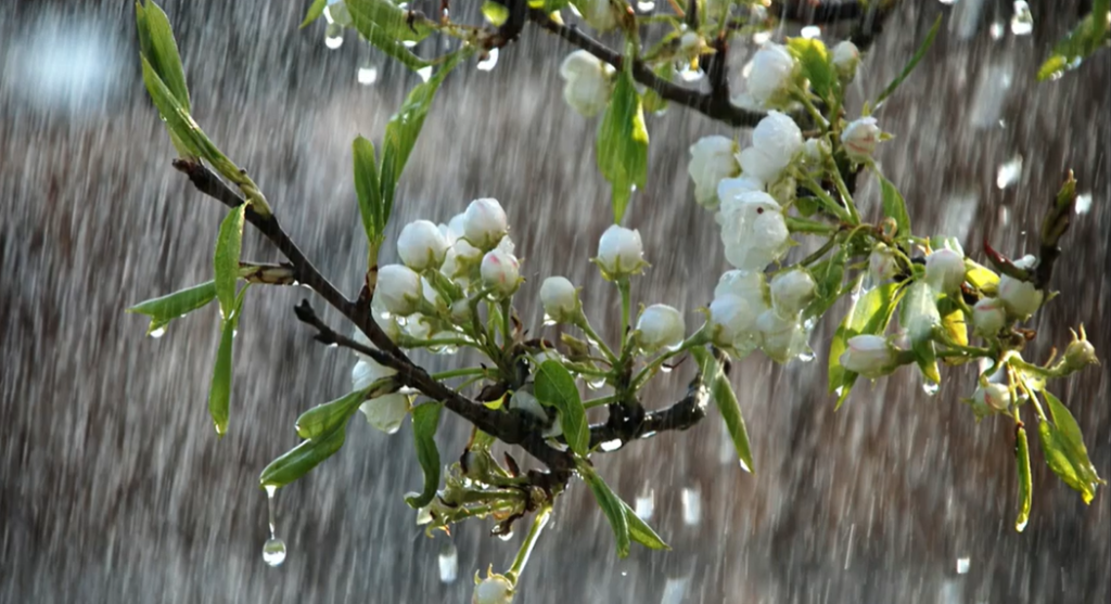 Од понеделник променливо облачно и посвежо време