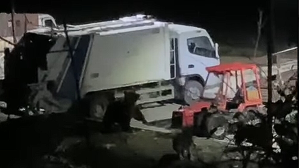 (Видео) Мечка забележана на паркинг во Ростуше