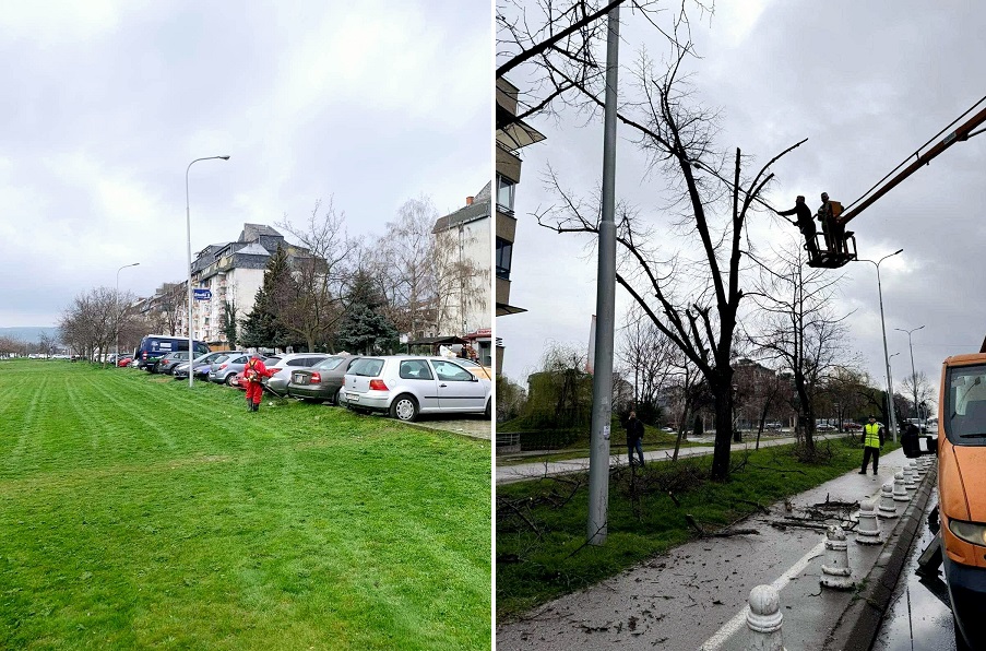 Голема акција за уредување на зелените површини во Општина Аеродром