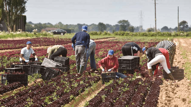 Земјоделците алармираат: Кризата на Блискиот Исток ќе ги зголеми цените на храната и репроматеријалите