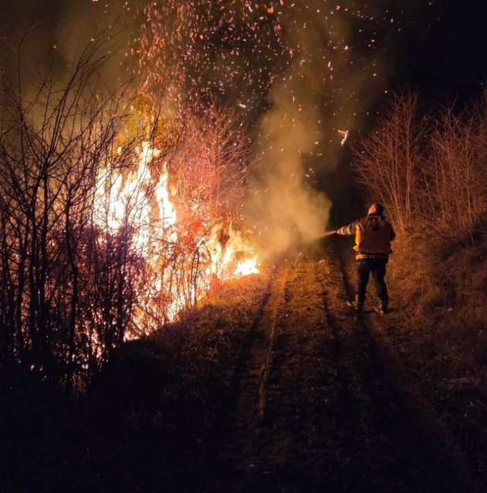 Десет пожари за десет дена во Крива Паланка